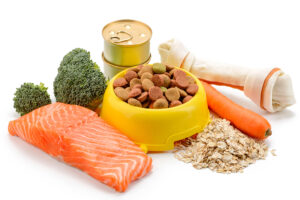 yellow bowl of dry pet food surrounded by raw and natural foods like salmon, oats, carrots and broccoli